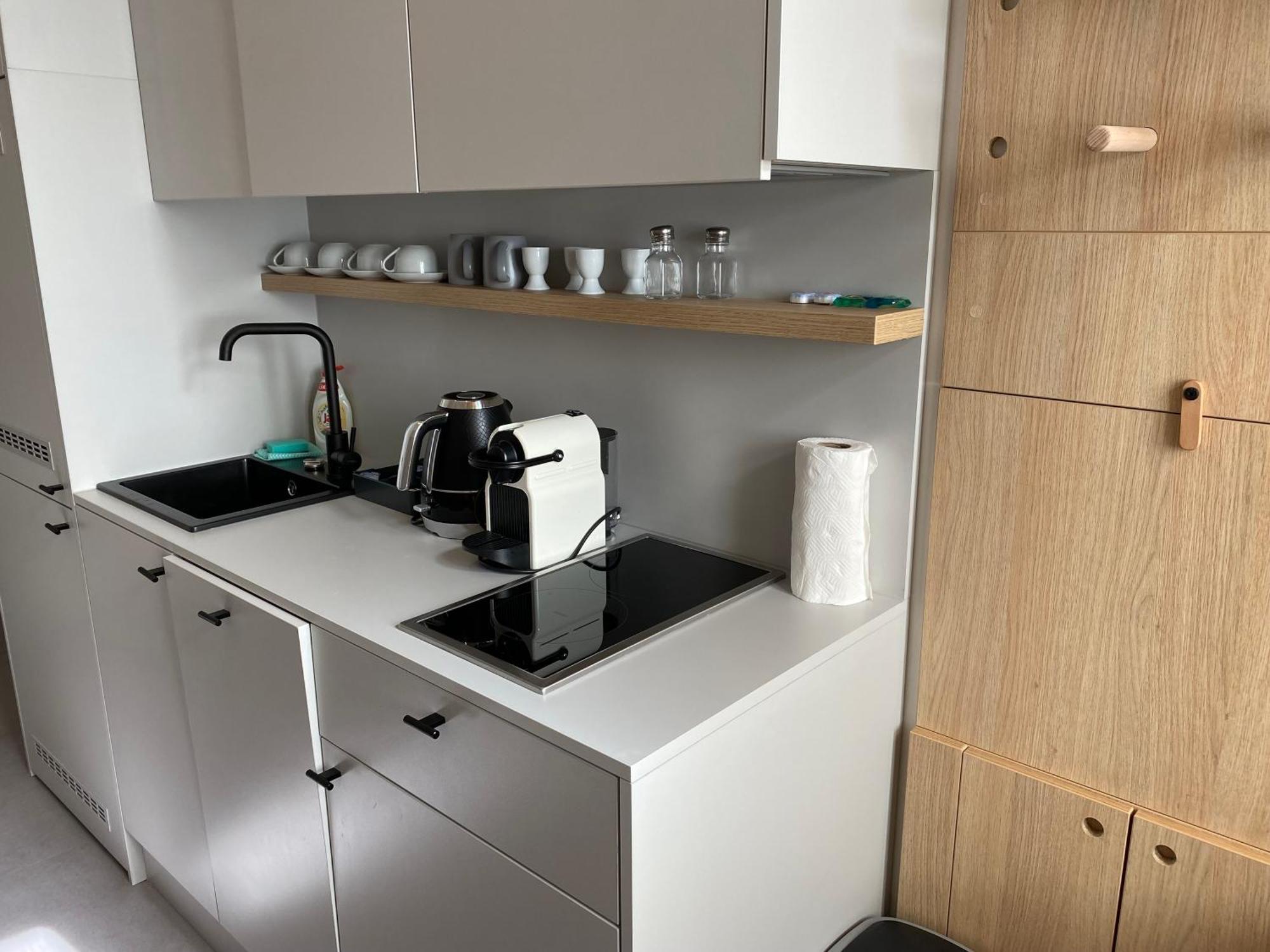 プラハ Honest Karlinアパートホテル 部屋 写真